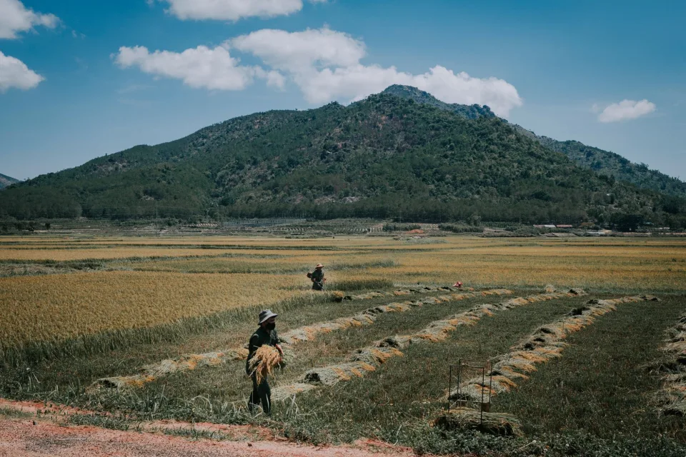 Kho gạo của Tâm An